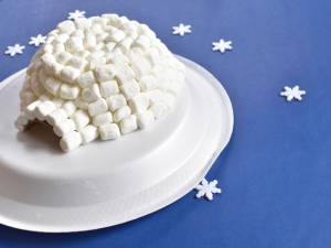 igloo craft