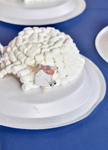 igloo craft