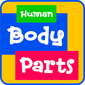 Learn Human Body Parts