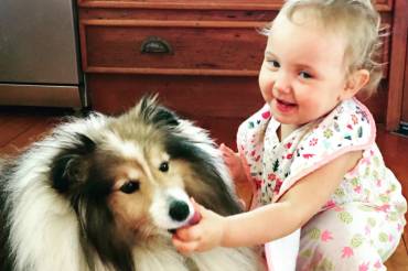 Must Consider These Warning Sign If your Kid Has a Dog